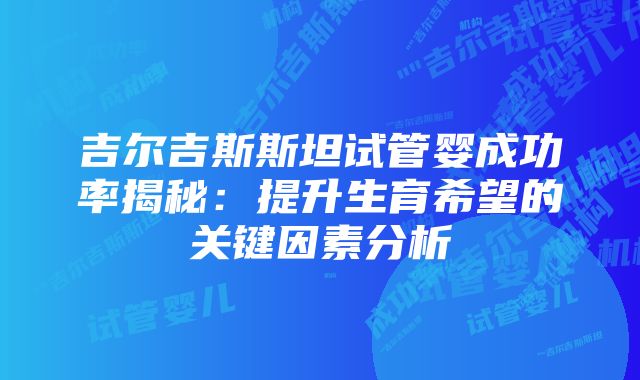 吉尔吉斯斯坦试管婴成功率揭秘：提升生育希望的关键因素分析