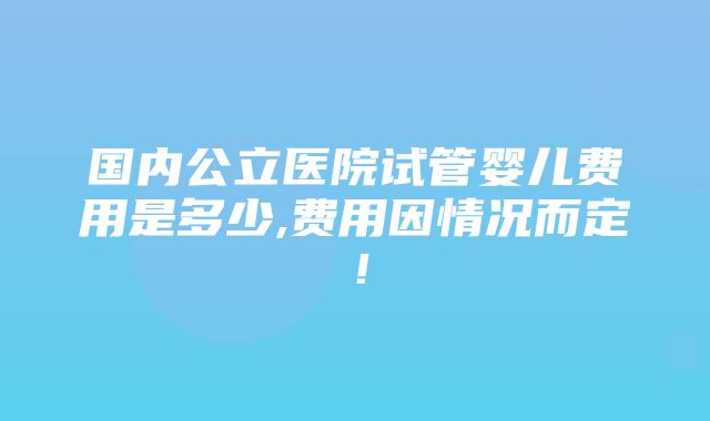 国内公立医院试管婴儿费用是多少,费用因情况而定！