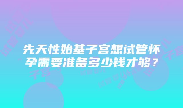 先天性始基子宫想试管怀孕需要准备多少钱才够？