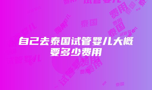 自己去泰国试管婴儿大概要多少费用