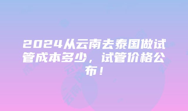 2024从云南去泰国做试管成本多少，试管价格公布！