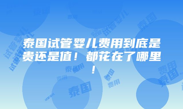 泰国试管婴儿费用到底是贵还是值！都花在了哪里！