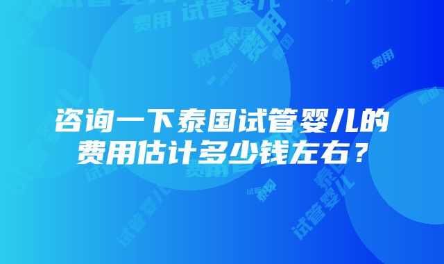 咨询一下泰国试管婴儿的费用估计多少钱左右？