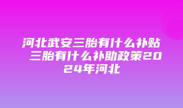 河北武安三胎有什么补贴 三胎有什么补助政策2024年河北