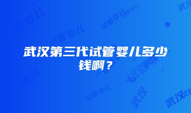 武汉第三代试管婴儿多少钱啊？