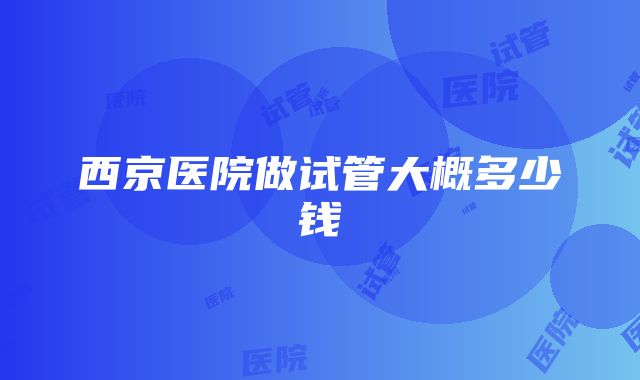 西京医院做试管大概多少钱