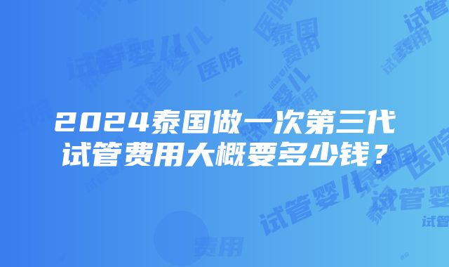 2024泰国做一次第三代试管费用大概要多少钱？