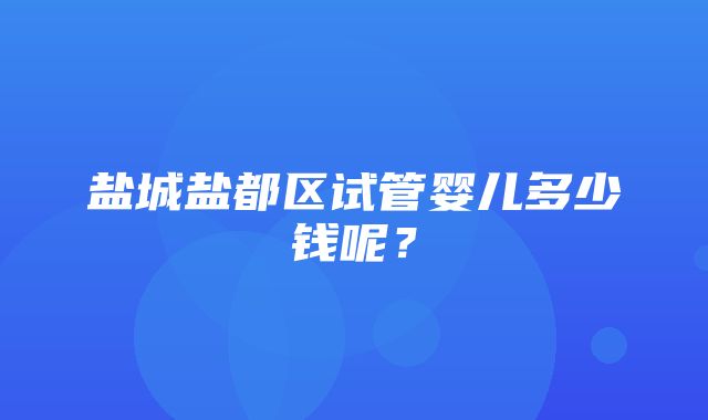 盐城盐都区试管婴儿多少钱呢？