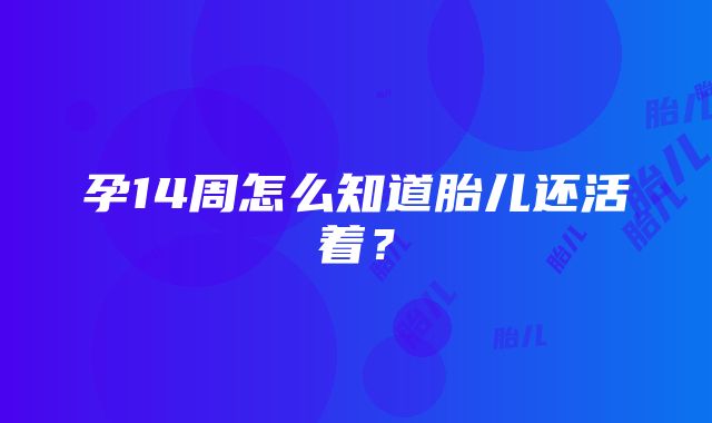 孕14周怎么知道胎儿还活着？