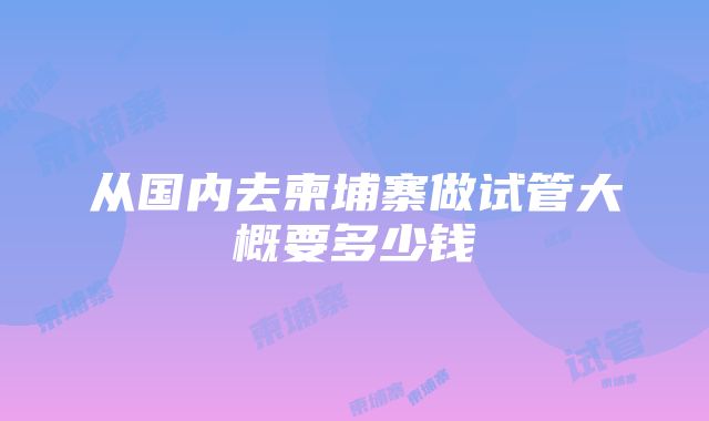 从国内去柬埔寨做试管大概要多少钱