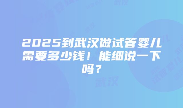 2025到武汉做试管婴儿需要多少钱！能细说一下吗？