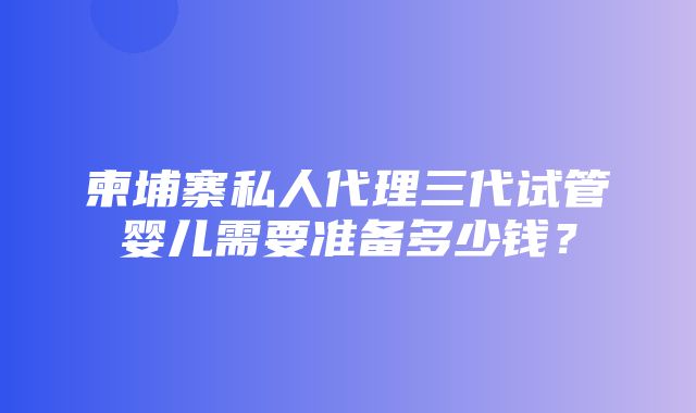 柬埔寨私人代理三代试管婴儿需要准备多少钱？