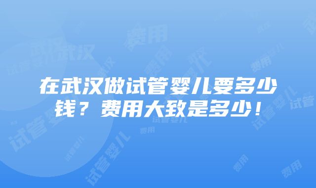 在武汉做试管婴儿要多少钱？费用大致是多少！