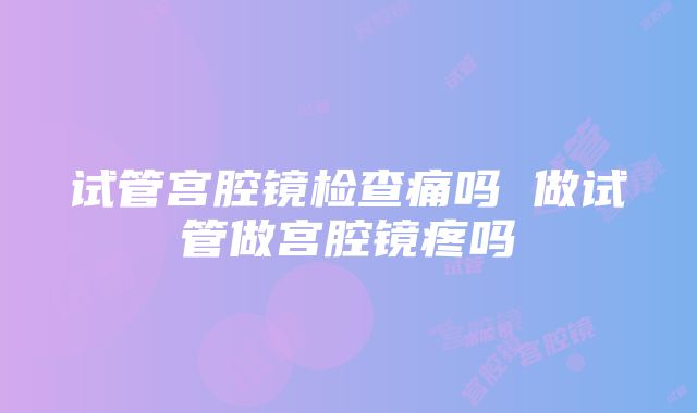 试管宫腔镜检查痛吗 做试管做宫腔镜疼吗