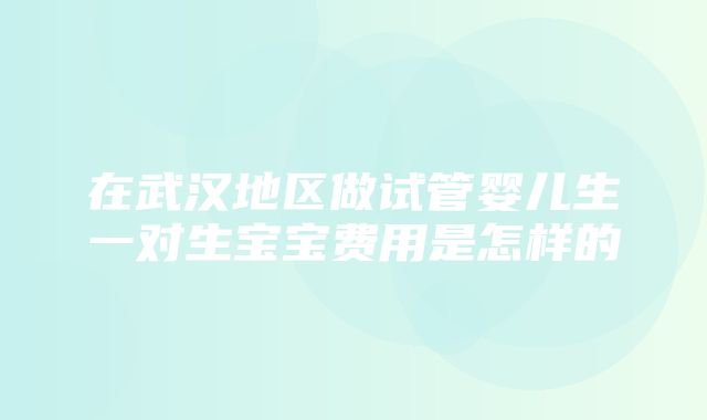 在武汉地区做试管婴儿生一对生宝宝费用是怎样的