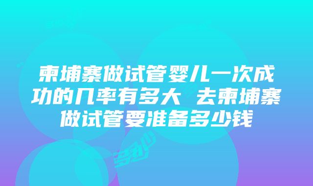 柬埔寨做试管婴儿一次成功的几率有多大 去柬埔寨做试管要准备多少钱