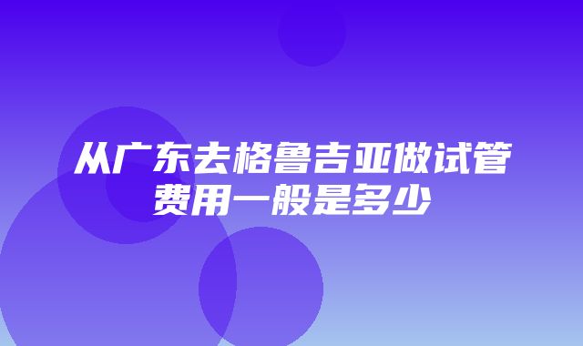 从广东去格鲁吉亚做试管费用一般是多少