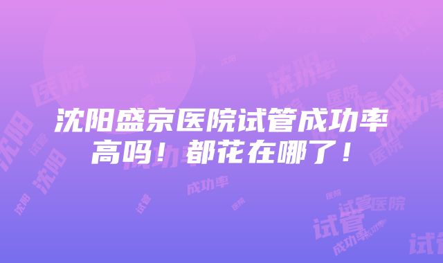 沈阳盛京医院试管成功率高吗！都花在哪了！