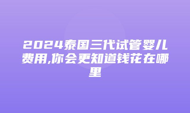 2024泰国三代试管婴儿费用,你会更知道钱花在哪里