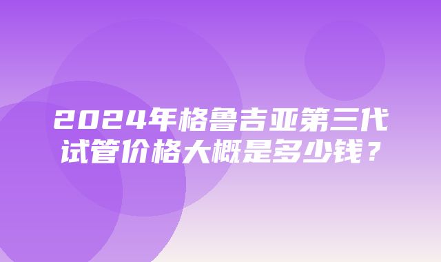 2024年格鲁吉亚第三代试管价格大概是多少钱？