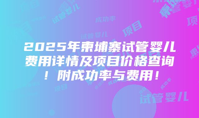 2025年柬埔寨试管婴儿费用详情及项目价格查询！附成功率与费用！