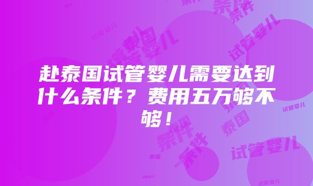 赴泰国试管婴儿需要达到什么条件？费用五万够不够！