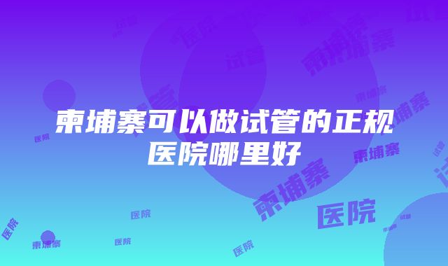 柬埔寨可以做试管的正规医院哪里好