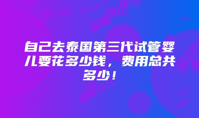 自己去泰国第三代试管婴儿要花多少钱，费用总共多少！