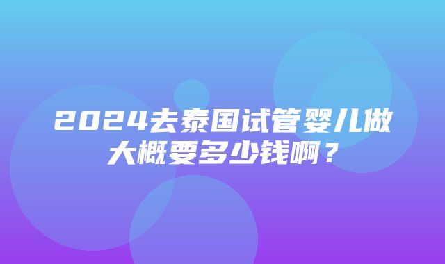 2024去泰国试管婴儿做大概要多少钱啊？