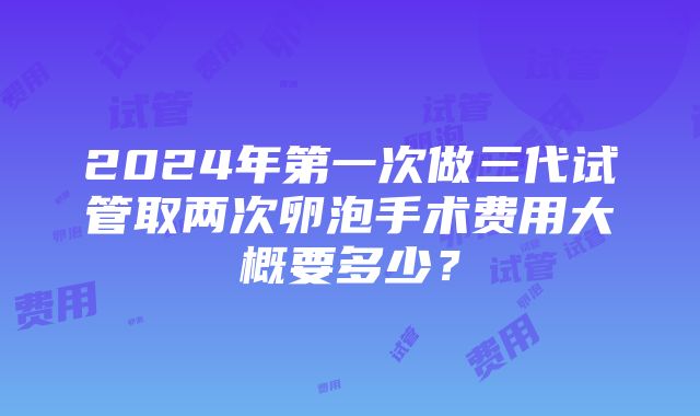 2024年第一次做三代试管取两次卵泡手术费用大概要多少？