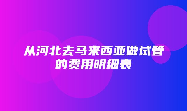 从河北去马来西亚做试管的费用明细表