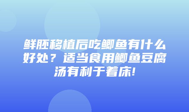 鲜胚移植后吃鲫鱼有什么好处？适当食用鲫鱼豆腐汤有利于着床!