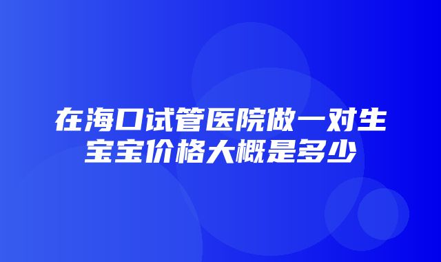 在海口试管医院做一对生宝宝价格大概是多少