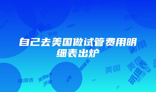 自己去美国做试管费用明细表出炉