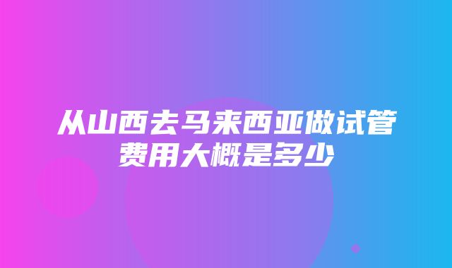 从山西去马来西亚做试管费用大概是多少