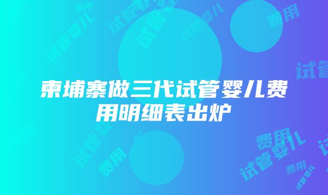 柬埔寨做三代试管婴儿费用明细表出炉