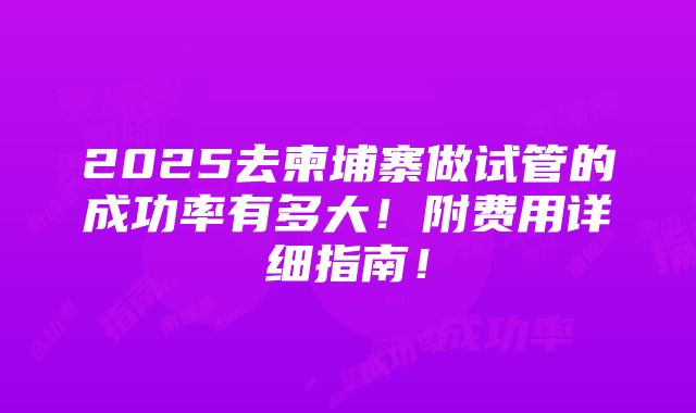 2025去柬埔寨做试管的成功率有多大！附费用详细指南！