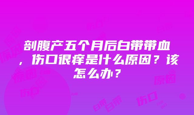 剖腹产五个月后白带带血，伤口很痒是什么原因？该怎么办？