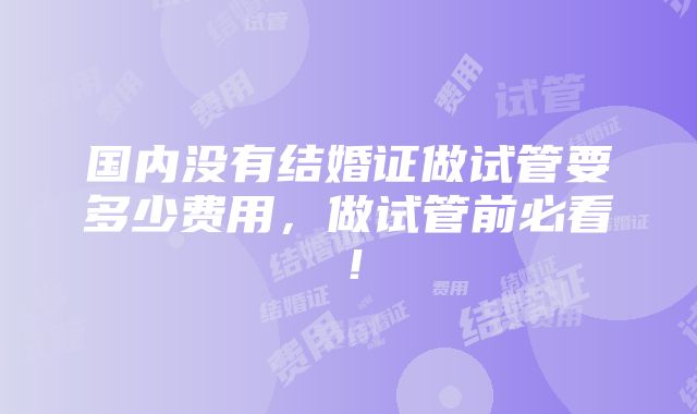 国内没有结婚证做试管要多少费用，做试管前必看！