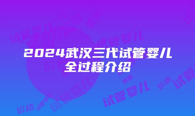 2024武汉三代试管婴儿全过程介绍