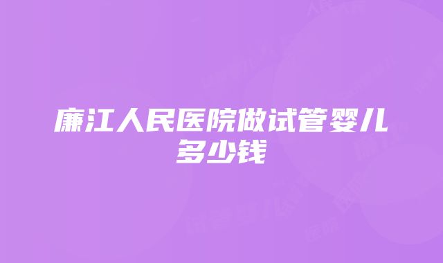 廉江人民医院做试管婴儿多少钱