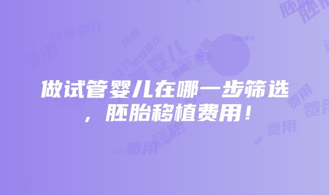 做试管婴儿在哪一步筛选，胚胎移植费用！