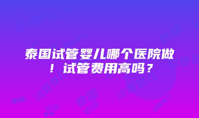 泰国试管婴儿哪个医院做！试管费用高吗？