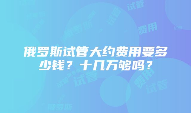 俄罗斯试管大约费用要多少钱？十几万够吗？