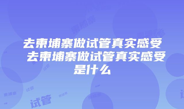 去柬埔寨做试管真实感受 去柬埔寨做试管真实感受是什么