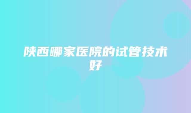 陕西哪家医院的试管技术好