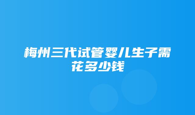 梅州三代试管婴儿生子需花多少钱