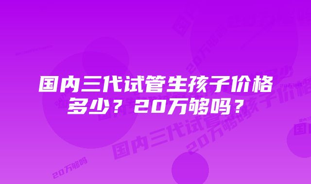 国内三代试管生孩子价格多少？20万够吗？