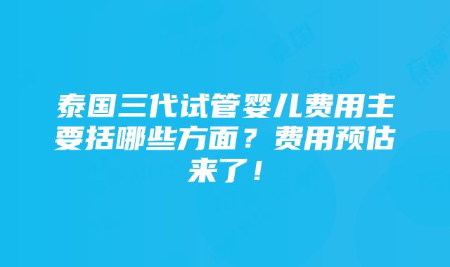 泰国三代试管婴儿费用主要括哪些方面？费用预估来了！