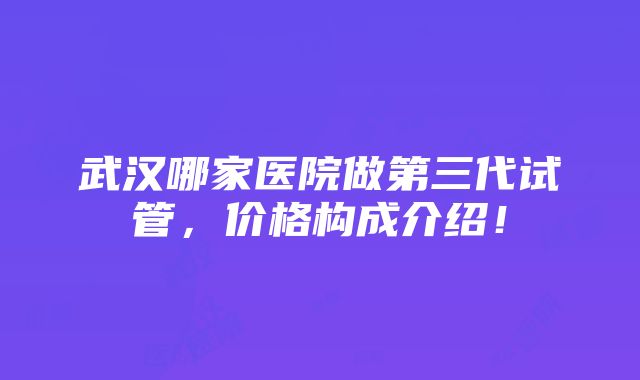 武汉哪家医院做第三代试管，价格构成介绍！